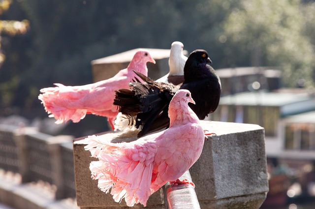 赛事中表现 赛事中表现