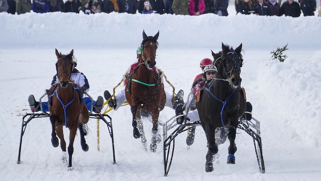 稳定的核心 稳定的核心