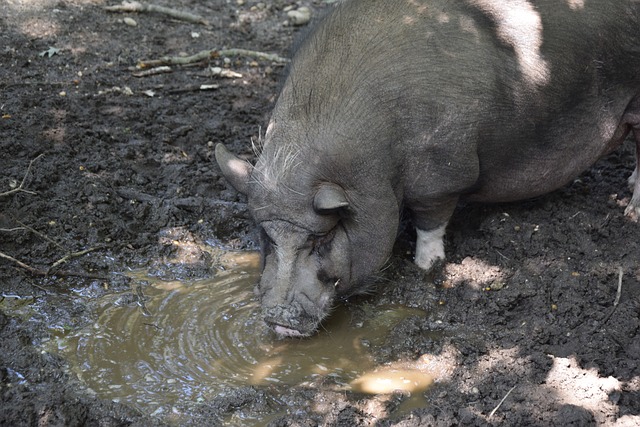 这种忙碌的 这种忙碌的