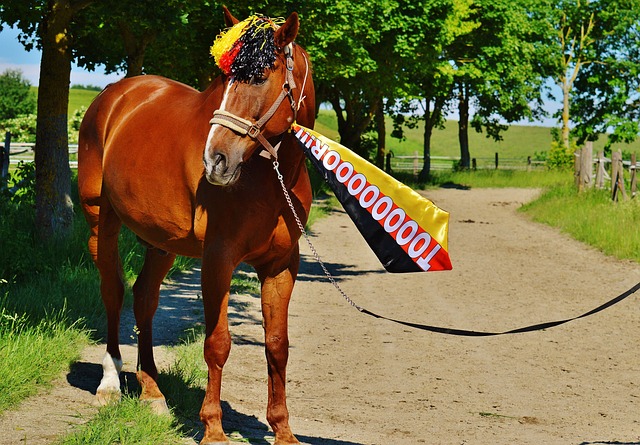 团队篮球打 团队篮球打