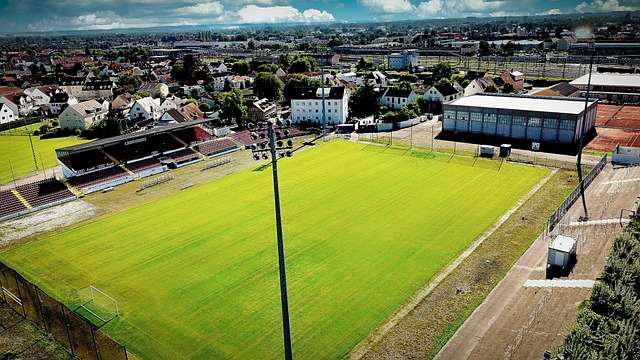 成为联赛的 成为联赛的