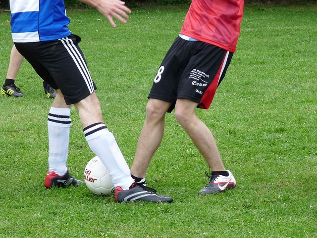 数球迷的心 数球迷的心