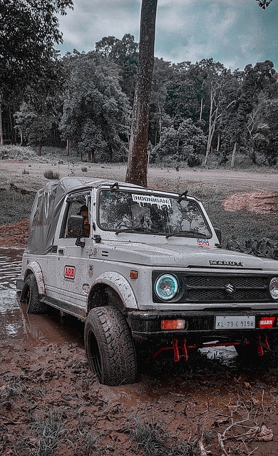 球员的心理 球员的心理