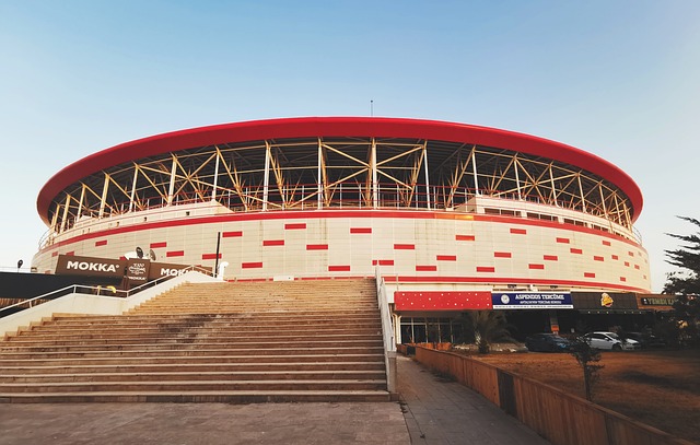 王者无冕 王者无冕